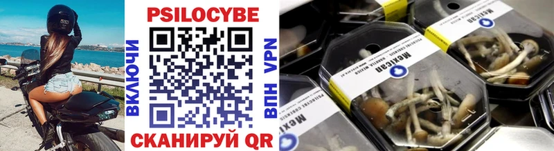 МЕГА ссылки  Новосокольники  Псилоцибиновые грибы мухоморы 